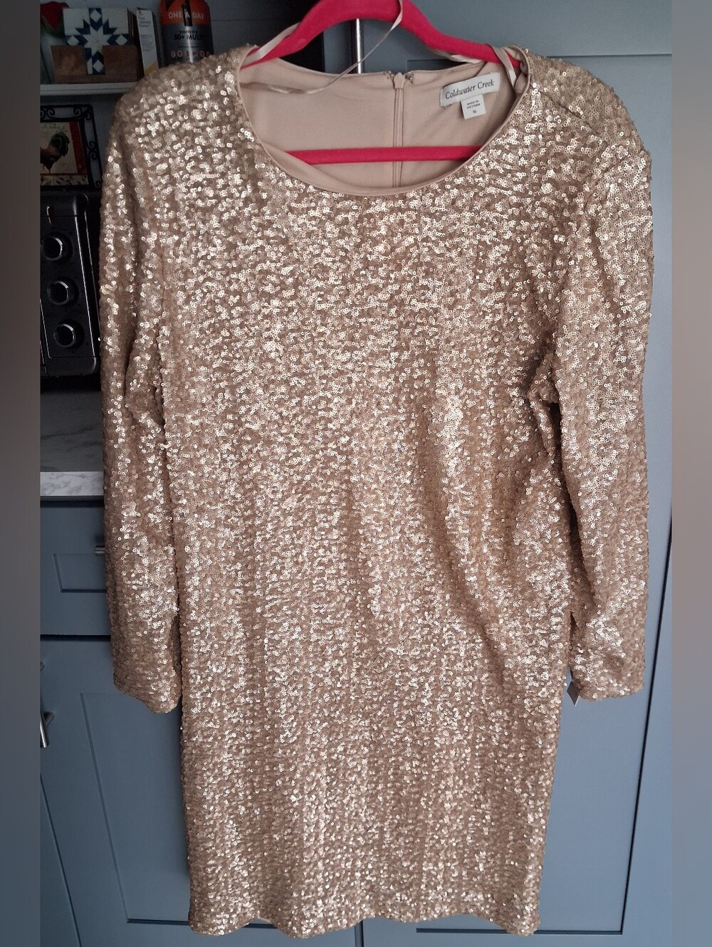 Coldwater Creek Champagne Sequin Long-Sleeve Dress